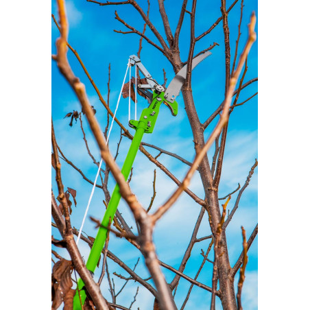 Sax för fjärilslarver med växellåda och trädgårdssåg, skärdiameter för saxen är 30 mm.