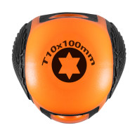 Torx-skruvmejsel T10 x 100 mm