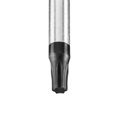 Torx-skruvmejsel T25 x 100 mm