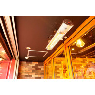 Promiennik 2000W, IP55, element grzejny golden halogen lamp, pilot, regulacja mocy 2 poziomy