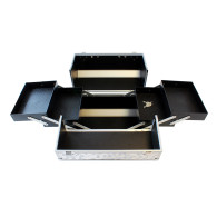 CA4A Kufer 30,5x20,5x25cm srebrny