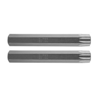 Spetsen TORX T55 x 75 mm, S2 x 2 st.