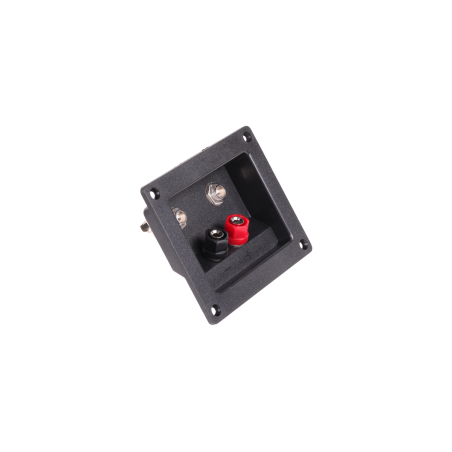 Högtalarterminal med 2 banananslutningar + 2 x Jack.