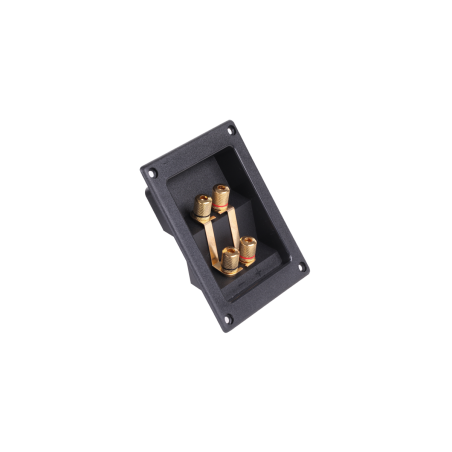 Högtalarterminal med 4 banankontakter