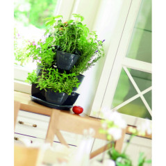 Kruka för örter i trippelutförande, Coubi Herbal i antracitfärg.