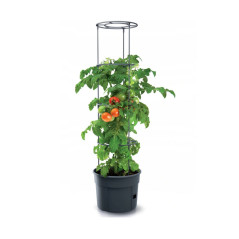 Kruka för tomater Tomato Grower IPOM400