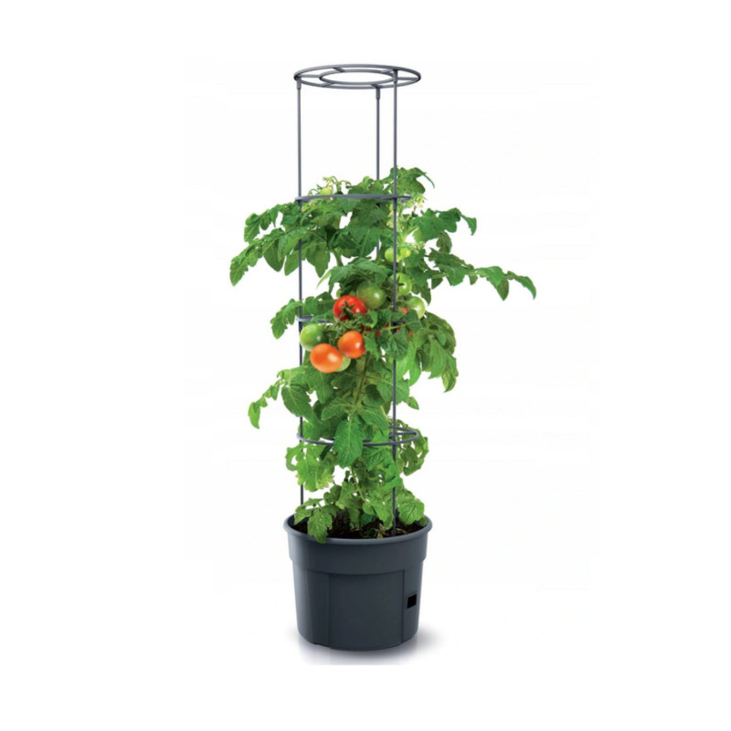 Kruka för tomater Tomato Grower IPOM400