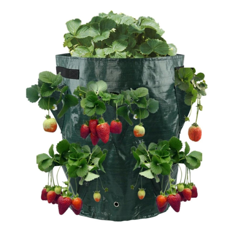 AG691A Jordgubbsplanteringsväska