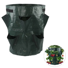 AG691A Jordgubbsplanteringsväska