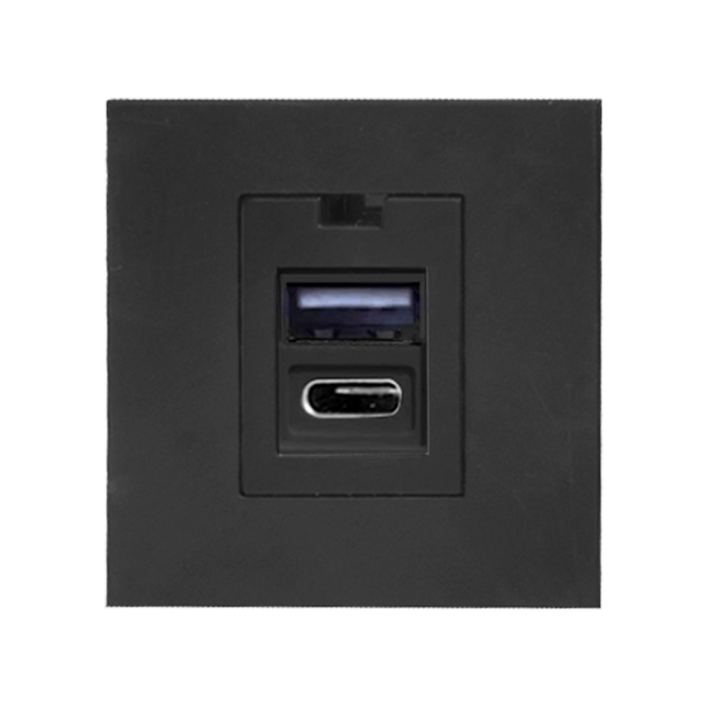 Några USB x 2 - typ A + C, dubbel modulär port 45x45mm med USB-laddare, 2,1A 5V DC, svart