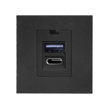 Några USB x 2 - typ A + C, dubbel modulär port 45x45mm med USB-laddare, 2,1A 5V DC, svart
