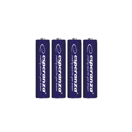 EZB101 Esperanza alkaliska batterier aa 4-pack blister | HandlaSmidigt.se