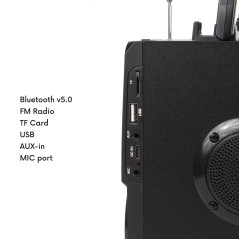 Högtalare med Bluetooth AudioCore, FM-radio, SD/MMC-kortplats, AUX, USB, fjärrkontroll, AC730 | HandlaSmidigt.se
