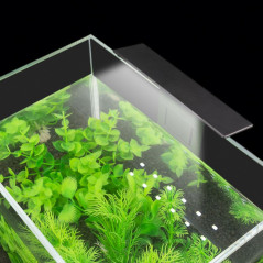 ZD80 Akvarielampa 5w