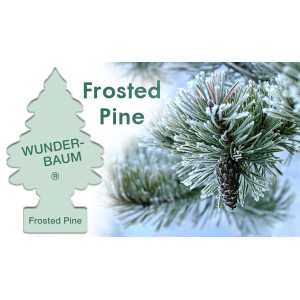 Luftfräschare Wunder Baum - frosted tall