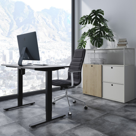 Elektriskt skrivbord med enkel motor från Ergo Office, för att arbeta stående, max. 80 kg, max. höjd 1160 mm, ER-443.