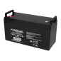 82-224 - Gelbatteri 12v/120ah xtreme 406x236x170_8