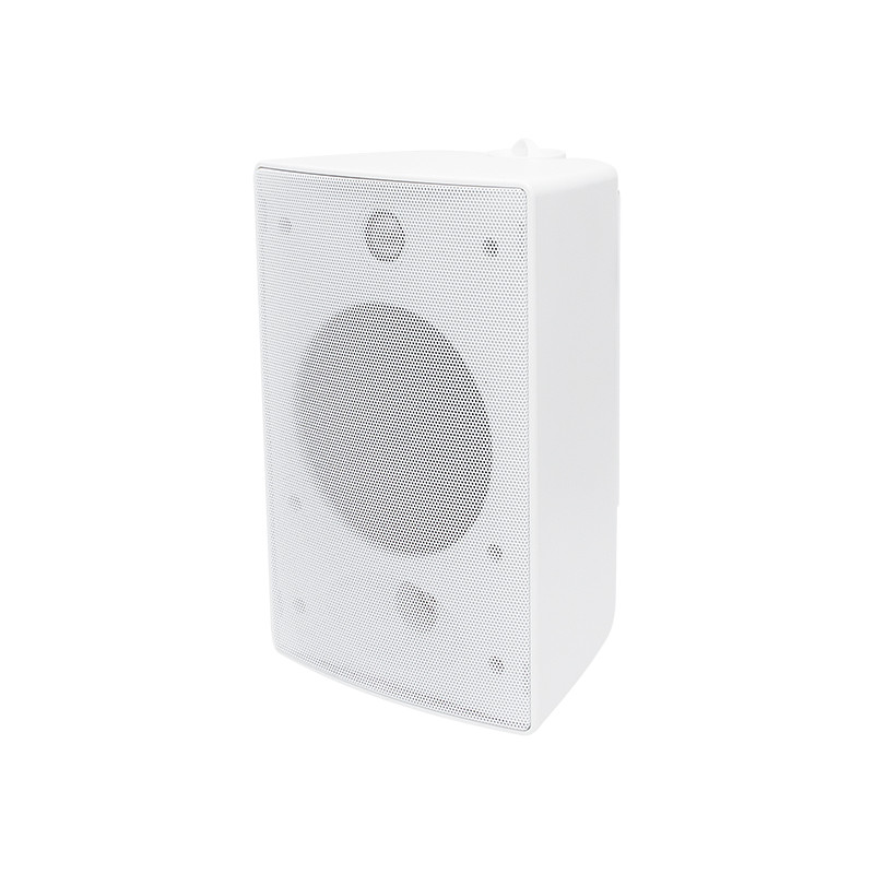 30-730- Väggmonterad högtalare 240x150x170 4' utomhus ws-410