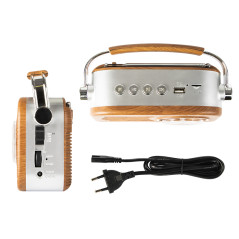 77-532- Bärbar analog FM-radio med Bluetooth från Blow RA3