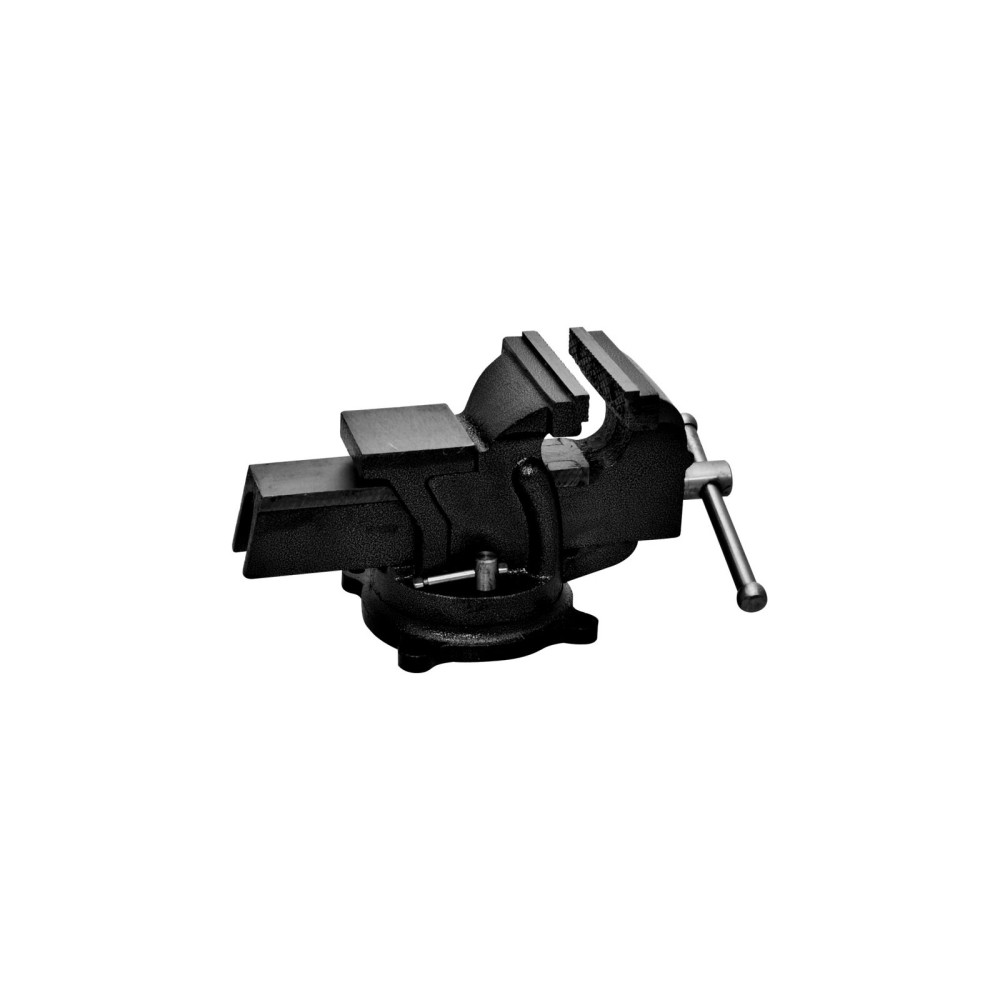 25612 Svängbar skruvstäd 125 mm, Proline