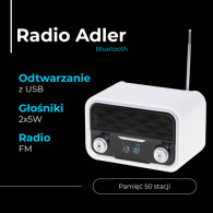 AD 1185 Radio bluetooth

AD 1185 Radio bluetooth