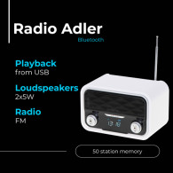 AD 1185 Radio bluetooth

AD 1185 Radio bluetooth