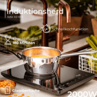 AD 6513 Induktionshäll