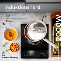 AD 6513 Induktionshäll