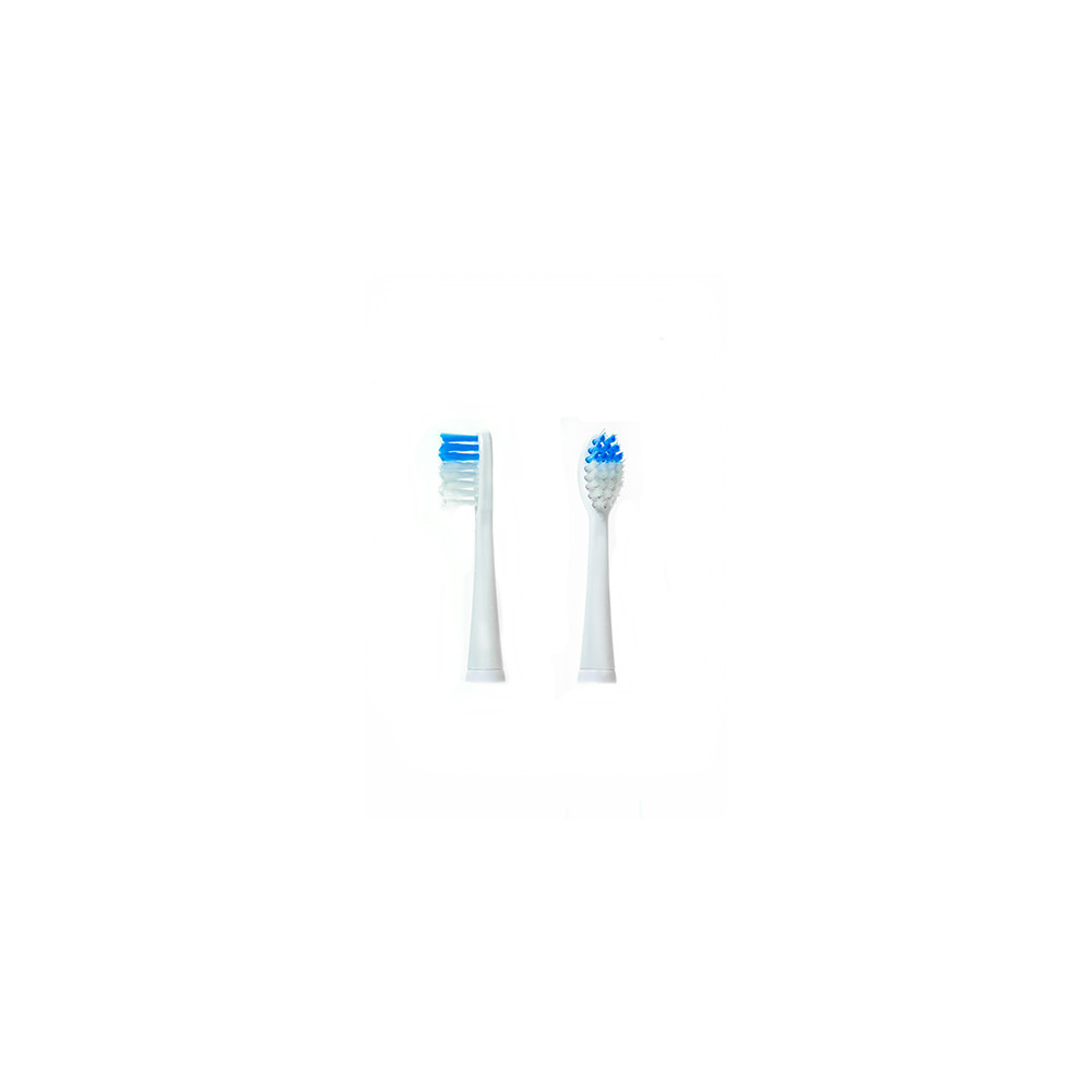 CR 2158.1 Borstar till CR 2158 CR 2158.1 Borstar till CR 2158