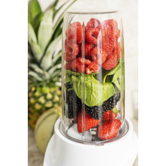 CR 4071 Personlig mixer - kraftfull nutri